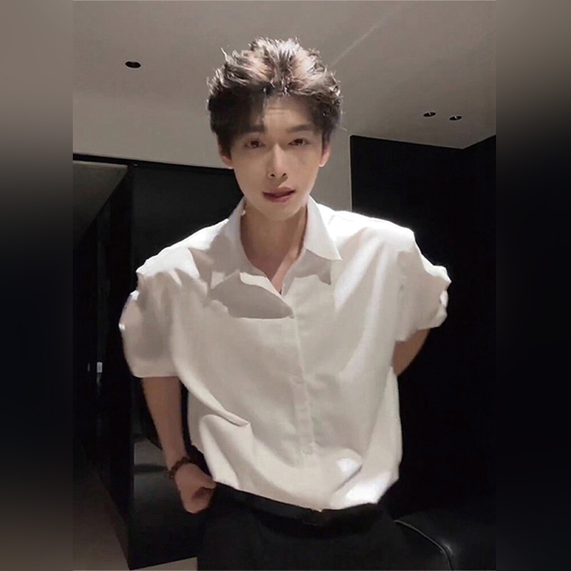 Light Luxury Men's Youthful White Long-Sleeved Shirt 2026 Spring New Style Light Mature Style Suit Inner Layering Shirt