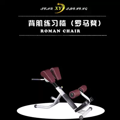 Adjusted back muscle training Roman stool chair back muscle fitness exercise space equipment material
