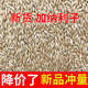 ອາຫານນົກກະທານົກ Canary ນໍາເຂົ້າ 5 ປອນ, ເມັດເຂົ້າເປືອກທີ່ມີນ້ໍາມັນ, ເມັດ canary ແຫຼມ, ອາຫານນົກ, ສົ່ງຟຣີ