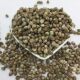 ເມັດພືດຂະຫນາດນ້ອຍ hemp ເມັດ hemp ເມັດ parrot ອາຫານນົກ bird food bird feed hamster food squirrel food 500g free shipping