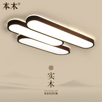 New Chinese long strip ceiling lamp modern simple Nordic aisle sun lamp walnut color bedroom office lamp