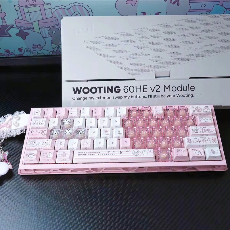 Pixel Rabbit Keycaps Ev63 from Ace68/Bee68/Rog Nocturne/Mage75He/Wooting