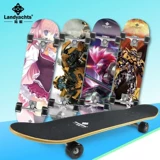 Взрослый 4 -колесный скейтборд Скейт Скейт Стрит Клен