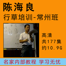 Running book video tutorial cursive video tutorial Chen Hailiang Changzhou training class internal Video 8 days 177 episodes