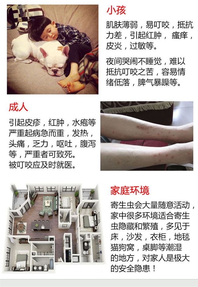 Pet diệt côn trùng chó tẩy giun bên ngoài để loại bỏ bọ chét phun nước cho mèo giá bình xịt muỗi