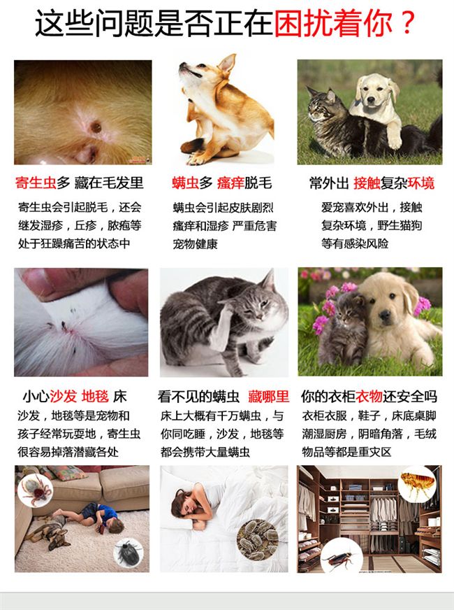 Pet diệt côn trùng chó tẩy giun bên ngoài để loại bỏ bọ chét phun nước cho mèo giá bình xịt muỗi
