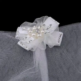 Поставщик свадебных домашних животных милый домашний собака щенка кошачья свадьба