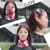 G079
