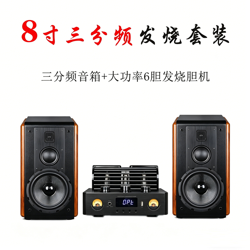 Huiwei Speaker Audiophile Tube Amplifier Hifi Audio Speaker Mobile Phone Computer Tv Speaker Bookshelf Speaker Set