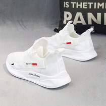 Hong Kong Tide Cards Small White Shoes Mens Shoes 2022 New Spring Breathable 100 Hitch Version Sports Mens Board Shoes Net Face Wave Shoes