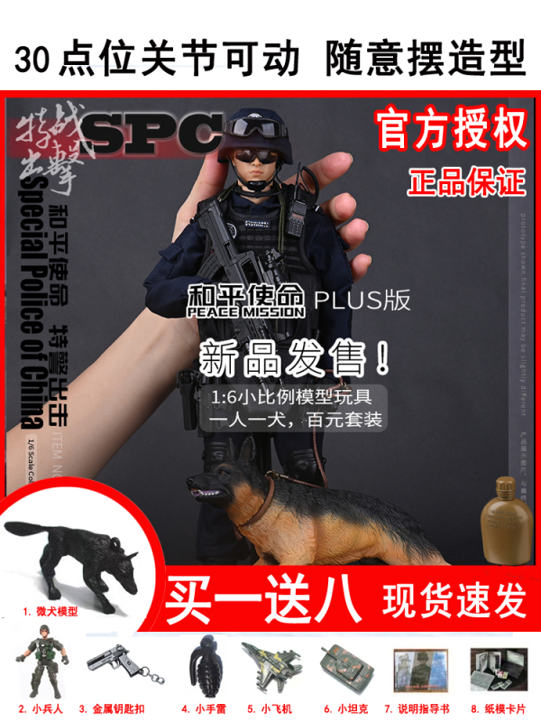 Peace Mission 1/6 Soldier Model China Swat Warrior Soldier Attack Military Toy Figure Retired Gift