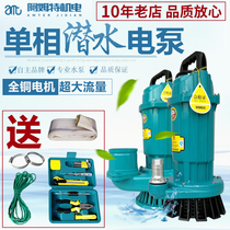 Small home submersible pump 220V pumping water pump Sump Pumps Agricultural Irrigation Pumps High Lift 3 Inch 4 Inch Water Pump