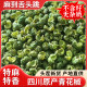 ສີຂຽວ Zanthoxylum bungeanum ຖືກຂຸດຄົ້ນໂດຍກົງຈາກແຫຼ່ງ, ຈາກພາກສະຫນາມໄປຫາເຮືອນຄົວ