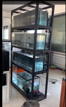 Gold crystal to pure glass bottom filter backpack ultra-permeable branch tooth brontosaurus stream goldfish seawater South American stacked tank fish room