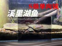 One-way mirror for teasing fish and shooting fish