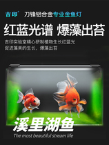 Jiyin full-spectrum algae burst lamp led grass tank lamp goldfish special fish tank lamp stream tank native tank lighting