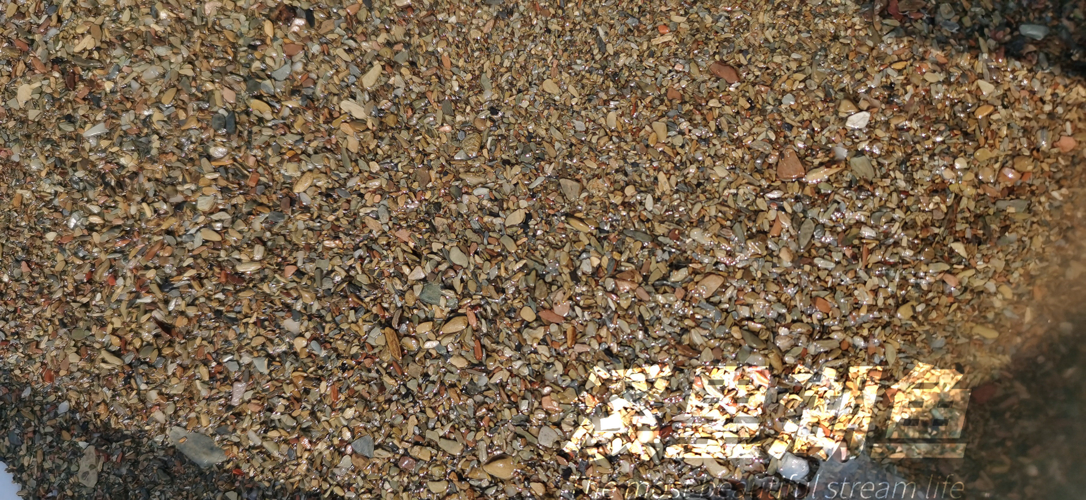 Shrimp tiger landscaping stone flake stone stream stone bottom sand three lakes China original South American three lakes native fish tank landscaping bottom sand