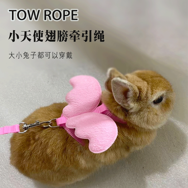 Rabbit Traction Rope Pygmy Rabbit Prevents to Remove Adjustable Size Outside of Rabbit Artists Traction Bring Belt