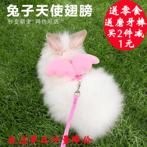 Rabbit Traction Rope Rabbit Rope Supplies Clothing Chain Subs Small Pets Walking Rabbit Rope Slide Rabbit Rope Anti-Escape for Rabbit Rope