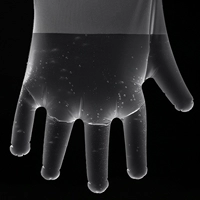 TPE Glove 100/Box/Box