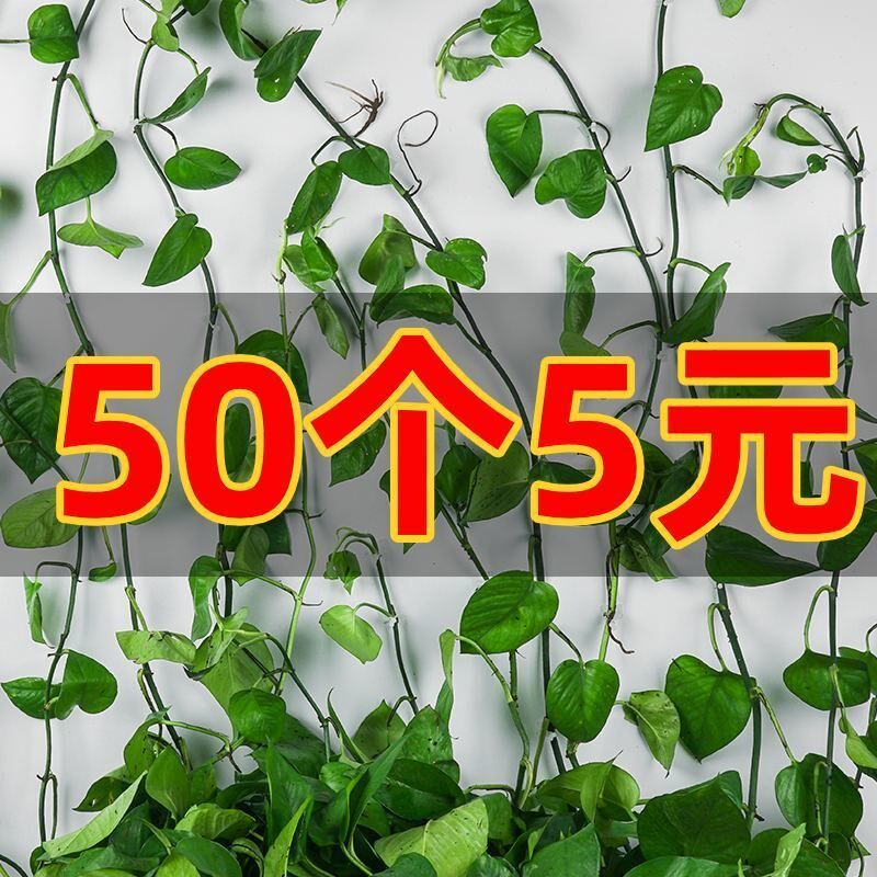 Gold Ge Hook Snapper Clips Climb Wall God Instrumental Vine Green Plant Indoor Free Nail Self-Adhesive Wall No Mark