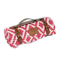 Красный и белый пикник