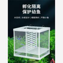Guppy production isolation box guppy breeding box zebra fish incubator anchovy juvenile suspended spawning room