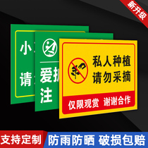 Take care of the flower and grass signs Prompt Card Private Planting Prompt Card Ornamental Floral Art Do Not Pick A Mark Sign Warning Warning