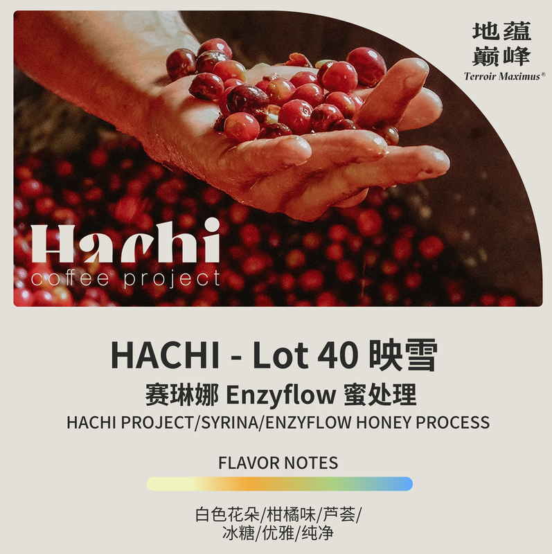China Yunnan Hachi Yingxue 26Th Harvest Seasonal Coffee Beans Honey Processed Green Coffee Beans | The Pinnacle of the Earth's Depths