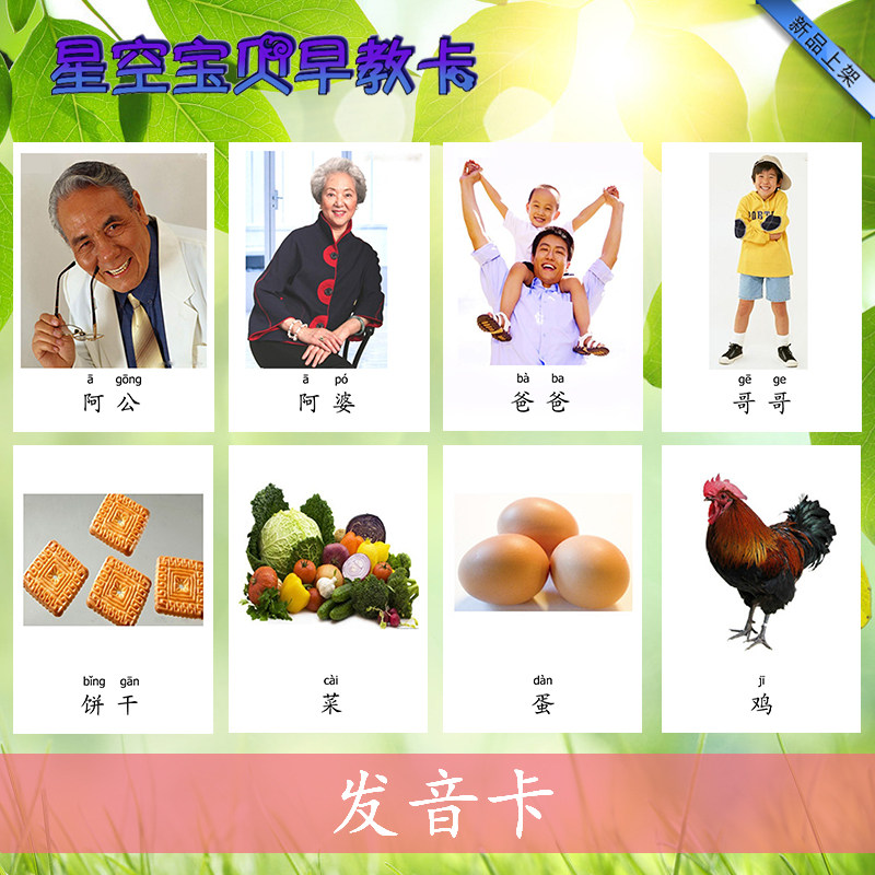 Pronunciation Cards School Speak Plastic Packaging Cards Autism Autism Developmental Delays ABA Language Training Aids