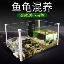 Size of turtle house small villa small turtle tank under 20