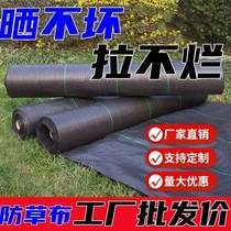 Xinjiang grass-proof cloth no grass grows thickened orchard grass cover anti-aging breathable moisturizing grass-proof cloth