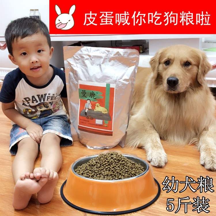 Chó Manlu thức ăn 5 kg dưới 10 tháng tất cả các giống chó thức ăn cho chó da nói chung - Gói Singular thức ăn cho mèo