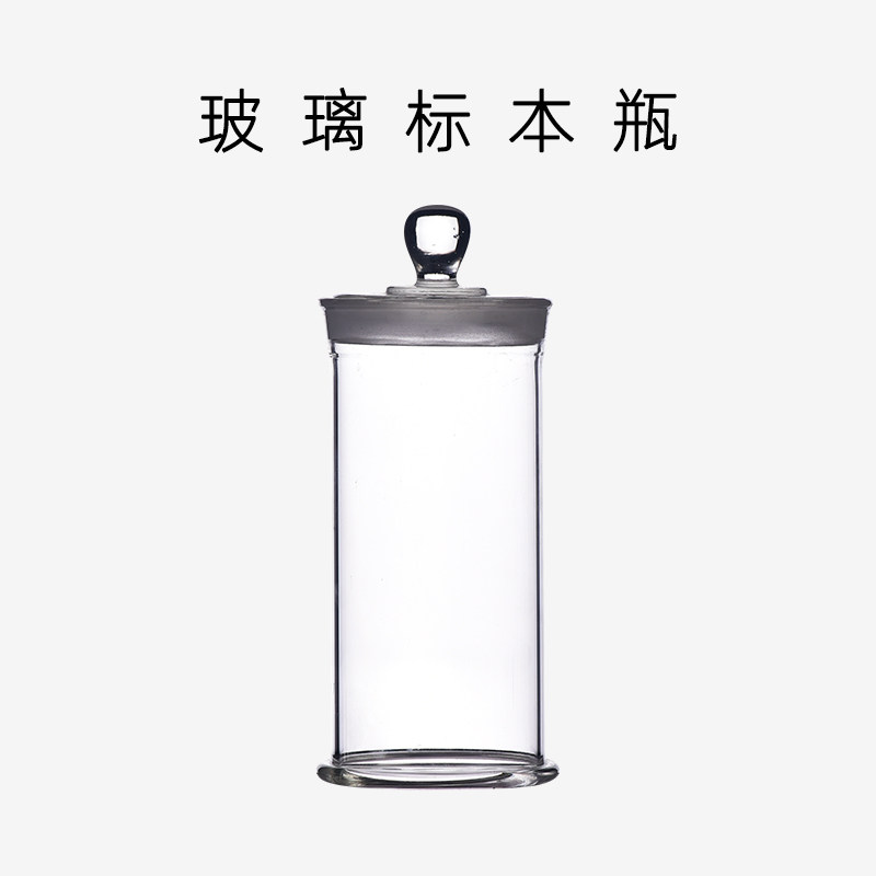 [USD 9.53] Glass specimen bottle Thickened specimen cylinder Plant
