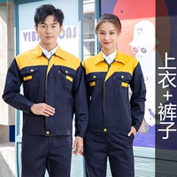 Тибетский синий с желтым плечом