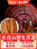 Changbai Mountain Wild Ganoderma Lucidum Slices 500g, Genuine Purple-Red Ganoderma Lucidum Spore Powder, Health-Preserving Tea, Soaked in Water or Wine, Whole Piece