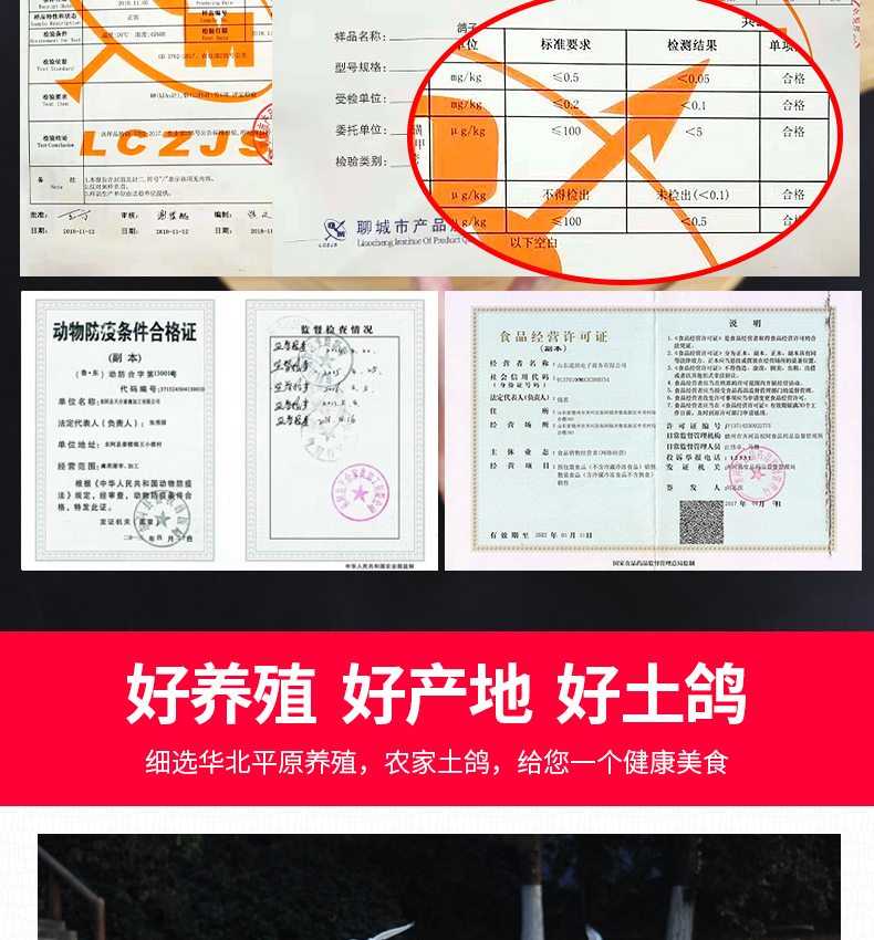 守绿 农家散养土乳鸽 3只/2斤 生鲜现杀 图10
