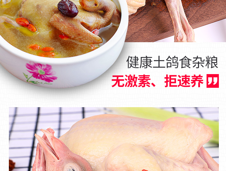 守绿 农家散养土乳鸽 3只/2斤 生鲜现杀 图2