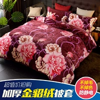 Chăn lông cừu dày bao gồm chăn đơn mảnh mùa đông cộng với chăn che hai mặt flannel quilt bìa nhung chống tĩnh điện đôi 	chăn phao trần bông