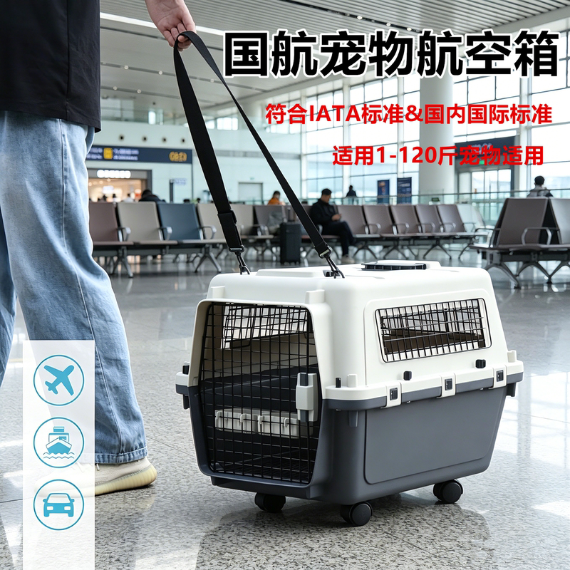 Air China Airline Crate, Iata International Airline Crate, Travel Crate for Large, Medium, and Small Dogs, Shenzhen Airlines Standard Shipping Crate