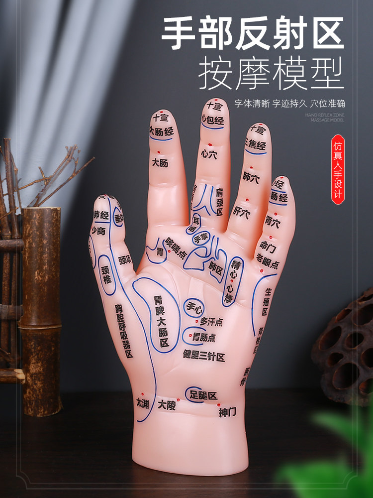按摩手部穴位经络软模型反射区成人小儿针灸推拿中医教学刻字家用