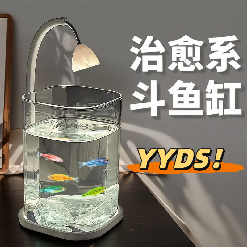 Special small fish tank for betta fish, glass landscape, ornamental fish micro-landscape tank, diy creative decorative items, high appearance level desktop