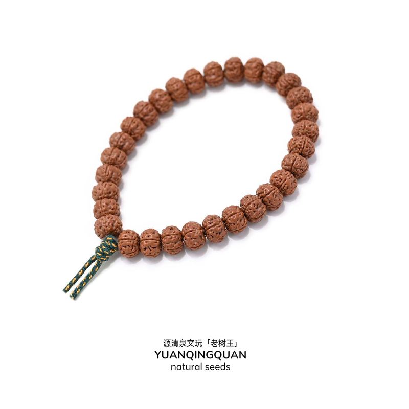 Yuanjia "Old Tree King" Master Grade｜Pumpkin-Shaped Double Dragon Pattern Five-Petal Small Rudraksha Seed Beads for Prayer and Meditation