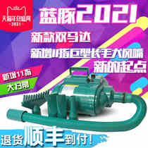 Blue Dolphin double motor Pet Blow Machine Dog High Power Silent Large Dog Special Blow Wool God Blow Dryer