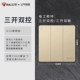 Sankai Dual Control Gold