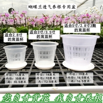 蝴蝶兰专用控根花盆铁皮石斛圆形塑料透气洋兰卡特兰定植篮生根盆