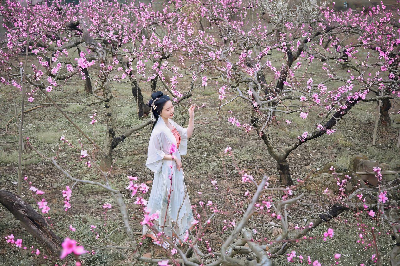 古风仙境：白色花树林系列