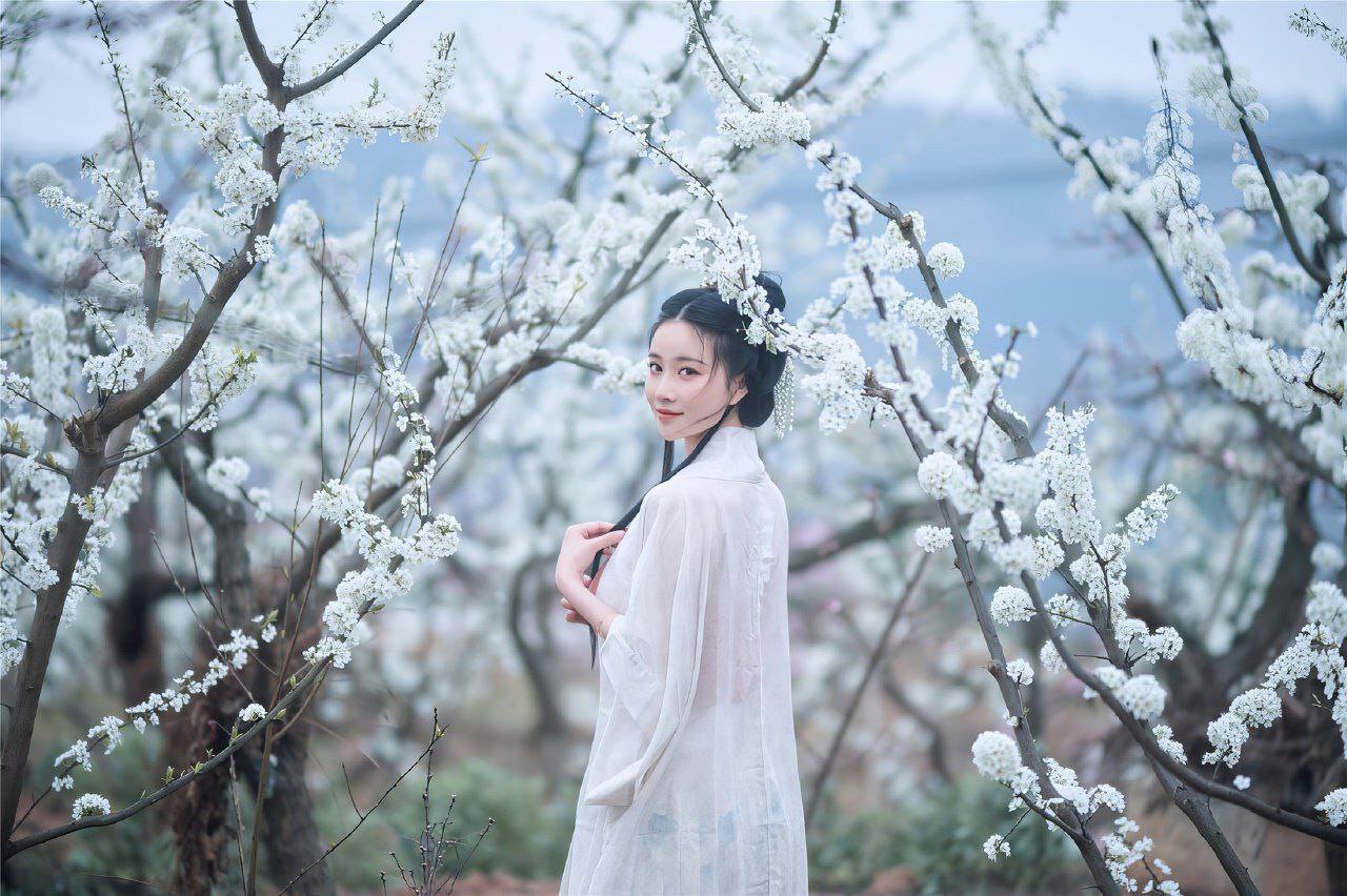 古风仙境：白色花树林系列