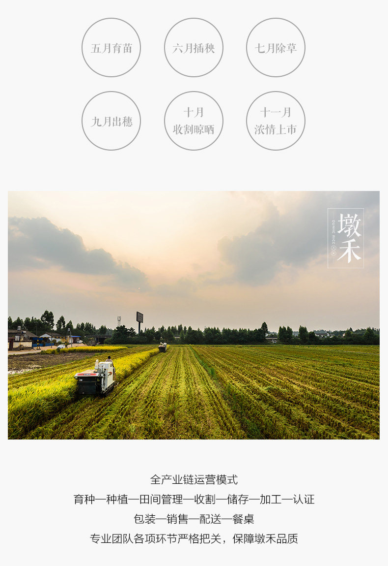 Dun he xiangmi 5 фунтов_08.jpg