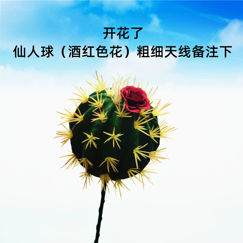 Декорация антенны для Wuling Hongguang MINI Maca Ice Cream QQ: кактус, цветок кактуса, модификация крыши, забавный шар для антенны